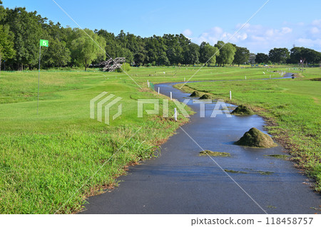 Park golf course in the early morning - midsummer scenery 118458757