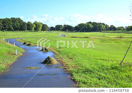 Park golf course in the early morning - midsummer scenery 118458758