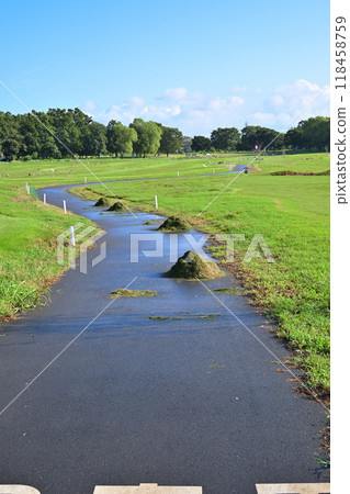 Park golf course in the early morning - midsummer scenery 118458759