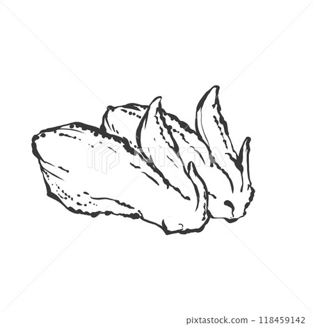 雞翅手繪畫筆繪畫風格插畫 雞翅手繪畫筆繪畫風格插畫 118459142