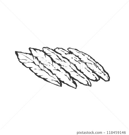Hand-drawn brush-style illustration of chicken breast Hand-drawn brush-style illustration of chicken breast 118459146