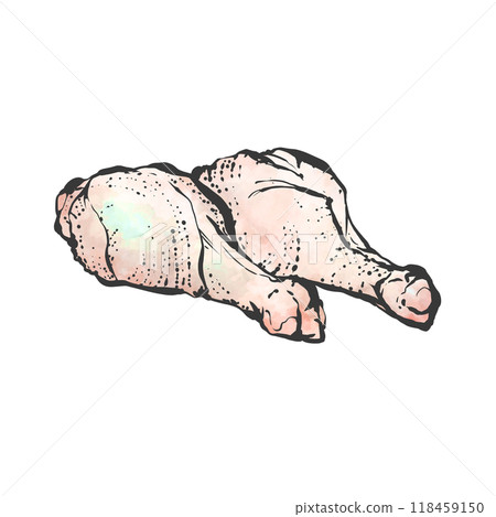 Hand-drawn illustration of chicken wings Hand-drawn illustration of chicken wings 118459150