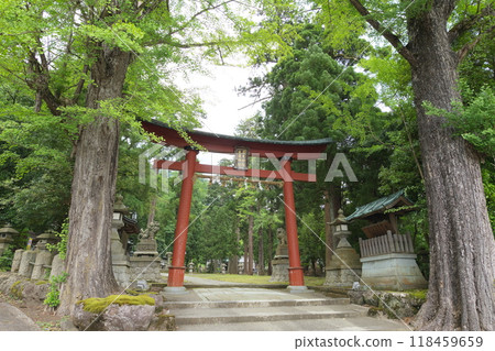 Paper god Okamoto Shrine and Otaki Shrine, the second torii gate of the lower shrine Paper god Okamoto Shrine and Otaki Shrine, the second torii gate of the lower shrine 118459659