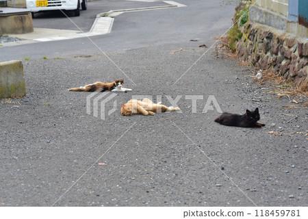 Scenery of Tashirojima, an isolated island in Ishinomaki, Miyagi Prefecture Scenery of Tashirojima, an isolated island in Ishinomaki, Miyagi Prefecture 118459781