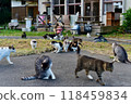 Scenery of Tashirojima, an isolated island in Ishinomaki, Miyagi Prefecture Scenery of Tashirojima, an isolated island in Ishinomaki, Miyagi Prefecture 118459834