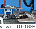 Scenery of Tashirojima, an isolated island in Ishinomaki, Miyagi Prefecture Scenery of Tashirojima, an isolated island in Ishinomaki, Miyagi Prefecture 118459840