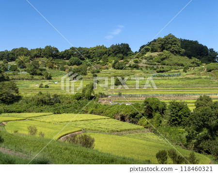 Scenery of the Inabuchi rice terraces in Asuka Village Scenery of the Inabuchi rice terraces in Asuka Village 118460321