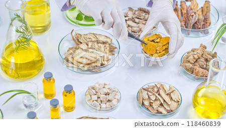 A scientist using tweezers carefully picks turmeric slices from a petri dish, the table is filled with a variety of herbs, roots, and lab supplies. Photo template for studying natural remedies. A scientist using tweezers carefully picks turmeric slices from a petri dish, the table is filled with a variety of herbs, roots, and lab supplies. Photo template for studying natural remedies. 118460839