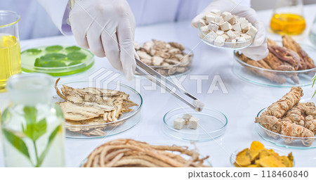 A laboratory background showcases a scientist uses tweezers to pick up a piece of dried mushroom from a petri dish, surrounded by various herbs, roots, and lab equipment. A laboratory background showcases a scientist uses tweezers to pick up a piece of dried mushroom from a petri dish, surrounded by various herbs, roots, and lab equipment. 118460840