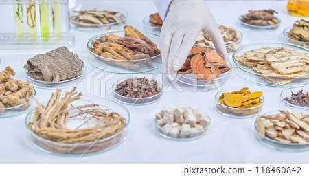 A scientist's gloved hand reaches for a petri dish filled with dried mushroom slices. The image highlights research involving natural ingredients. 118460842