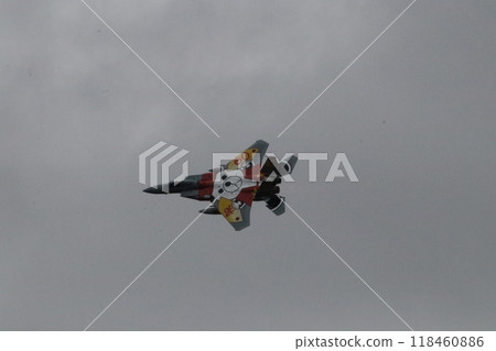 F15 commemorative paint job 118460886