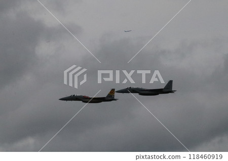 Air Show Air Show 118460919