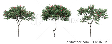 big tree, isolate on a transparent background, 3d illustration big tree, isolate on a transparent background, 3d illustration 118461045