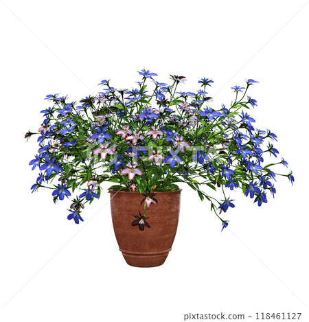 decorative flower in a pot isolate on a transparent background, 3D illustration, cg render decorative flower in a pot isolate on a transparent background, 3D illustration, cg render 118461127