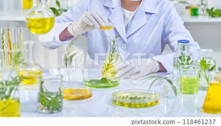 A scientist in a lab coat pours a yellow liquid into a flask containing herbs. The bright, organized lab is filled with various glassware and plant specimens, emphasizing the research process. A scientist in a lab coat pours a yellow liquid into a flask containing herbs. The bright, organized lab is filled with various glassware and plant specimens, emphasizing the research process. 118461237