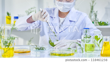 A scientist in a white lab coat, wearing gloves and a mask, is using tweezers to extract a plant sample from a glass vial. The table is filled with various laboratory equipment containing herbs. 118461238