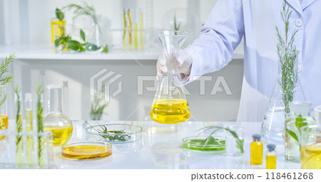 Template photo with laboratory background features a scientist is holding a beaker containing a yellow liquid while the table is filled with various laboratory equipment containing herbs. 118461268