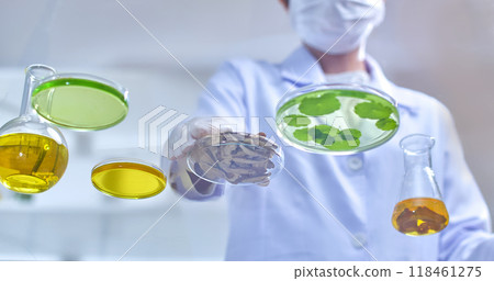 Template photos for experiments features petri dishes, flasks, and test tubes floating with liquids and herbs surround a scientist wearing a lab coat and gloves as they handle a dish of dry herbs. Template photos for experiments features petri dishes, flasks, and test tubes floating with liquids and herbs surround a scientist wearing a lab coat and gloves as they handle a dish of dry herbs. 118461275