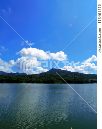Nagasawa Pond (Yamaguchi City, Yamaguchi Prefecture) 118461316