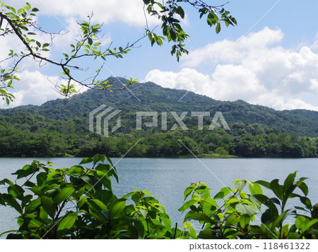 Nagasawa Pond (Yamaguchi City, Yamaguchi Prefecture) 118461322