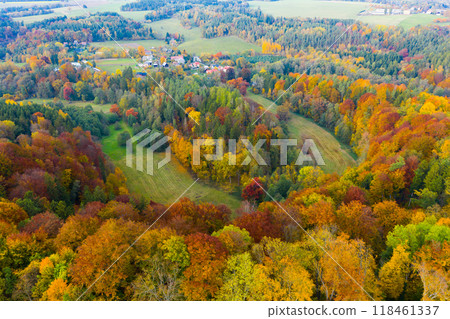Autumn hilly landscape with colored trees Autumn hilly landscape with colored trees 118461337