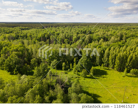 Forest landscape in central Russia 118461527
