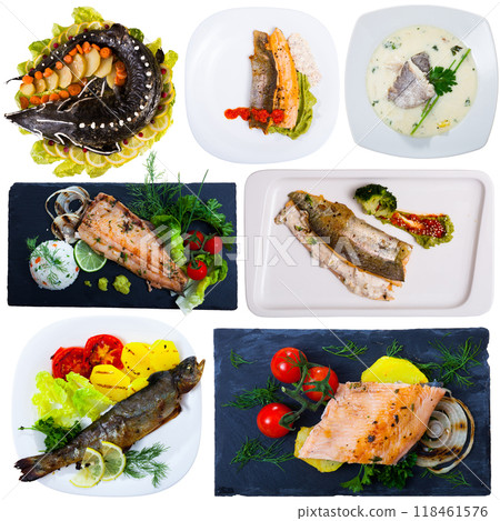Dishes with different fish at plates isolated on white background Dishes with different fish at plates isolated on white background 118461576