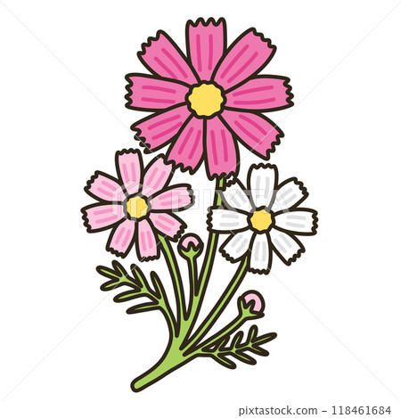 Cosmos 118461684
