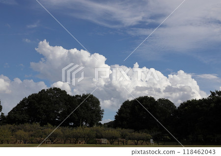 夏日的天空 夏日的天空 118462043