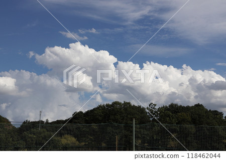 夏日的天空 118462044