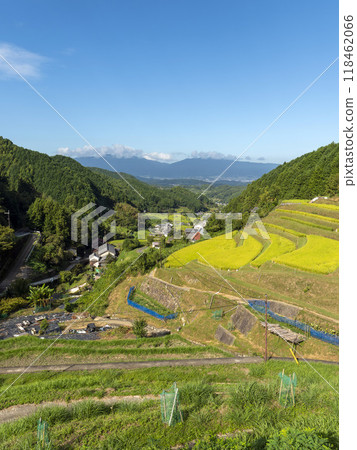 從飛鳥村山上看到的梯田景色 118462066