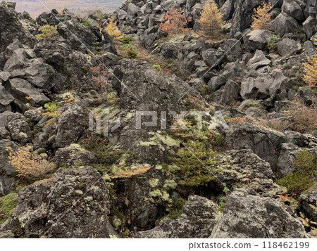 Lava flow rock mountain at Onioshidashi Park 118462199
