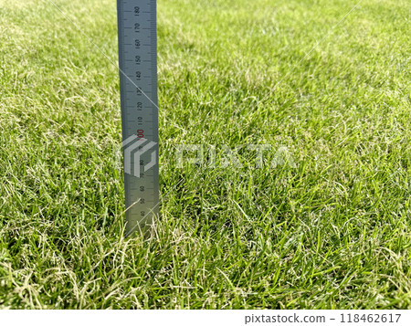 長草和金屬尺 118462617