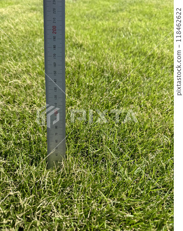 Overgrown grass and a metal ruler 118462622