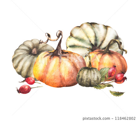 Pumpkins with dog rose arrangement Watercolor wild red briar fruits, rose hips fall harvest clipart Isolated from background. Autumn hand drawn illustration for thanksgiving day, halloween card, label Pumpkins with dog rose arrangement Watercolor wild red briar fruits, rose hips fall harvest clipart Isolated from background. Autumn hand drawn illustration for thanksgiving day, halloween card, label 118462802