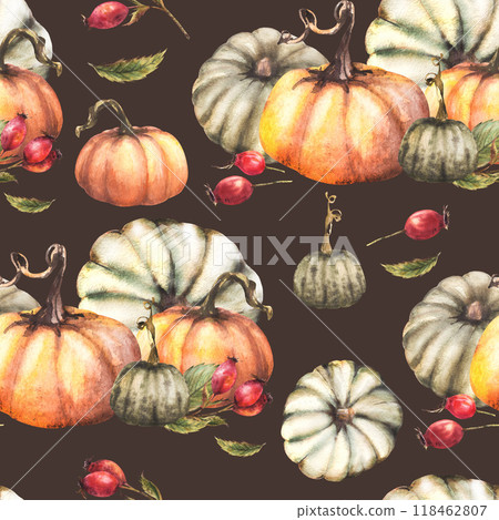 Pumpkins with wild rose hip, briar fruits, dog rose seamless pattern. Watercolor autumn harvest illustration. Hand drawn Thanksgiving Day fabric, packaging, wallpaper. Isolated on dark background. Pumpkins with wild rose hip, briar fruits, dog rose seamless pattern. Watercolor autumn harvest illustration. Hand drawn Thanksgiving Day fabric, packaging, wallpaper. Isolated on dark background. 118462807