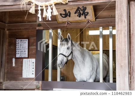 Tado Shrine, Shinbasha, Tadocho, Kuwana City, Mie Prefecture 118462983