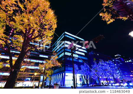 [大阪府]禦堂筋燈飾 118463049