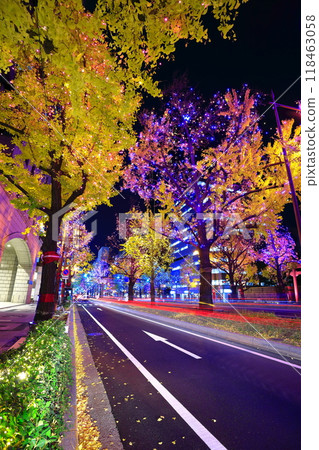 [大阪府]禦堂筋燈飾 118463058