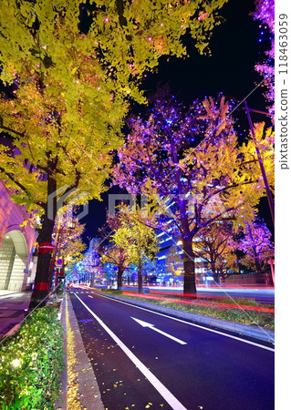 [Osaka Prefecture] Midosuji Illumination 118463059