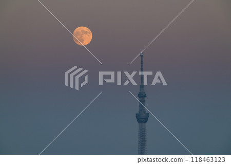 【東京】中秋賞月與天空樹/東京賞月/2024年9月17日 【東京】中秋賞月與天空樹/東京賞月/2024年9月17日 118463123