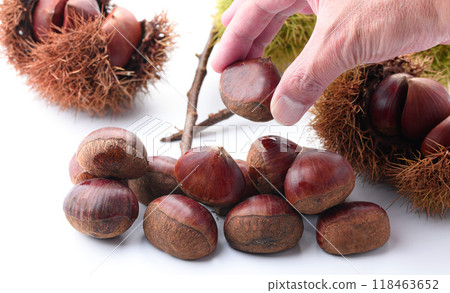 Autumn taste: chestnuts (white background) Autumn taste: chestnuts (white background) 118463652