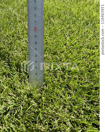 Grass cut at 2.5cm height and metal ruler 118463951