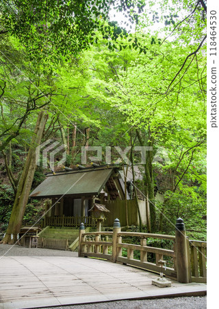 [多國大社本殿前] 三重縣桑名市多度町 118464530