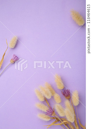 Natural dried hare's tail grass bouquet on purple background. Minimal decoration concept. 118464615