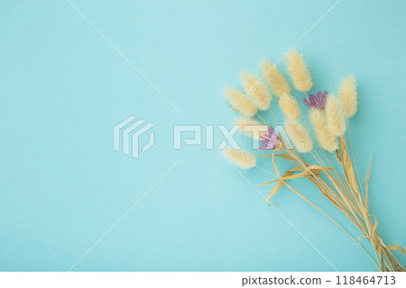 Natural dried hare's tail grass bouquet on blue background. Minimal decoration concept. Natural dried hare's tail grass bouquet on blue background. Minimal decoration concept. 118464713