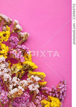 Flowers composition. Gypsophila flowers on pink background. Flat lay, top view, copy space. Vertical foto Flowers composition. Gypsophila flowers on pink background. Flat lay, top view, copy space. Vertical foto 118464752