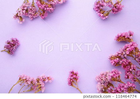 Flowers composition. Gypsophila flowers on pastel purple background. Flat lay, top view, copy space 118464774
