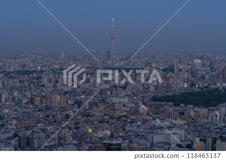 [東京] 俯瞰天空樹的城市夜景 118465137