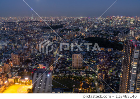 Tokyo: City night view overlooking the Skytree Tokyo: City night view overlooking the Skytree 118465140
